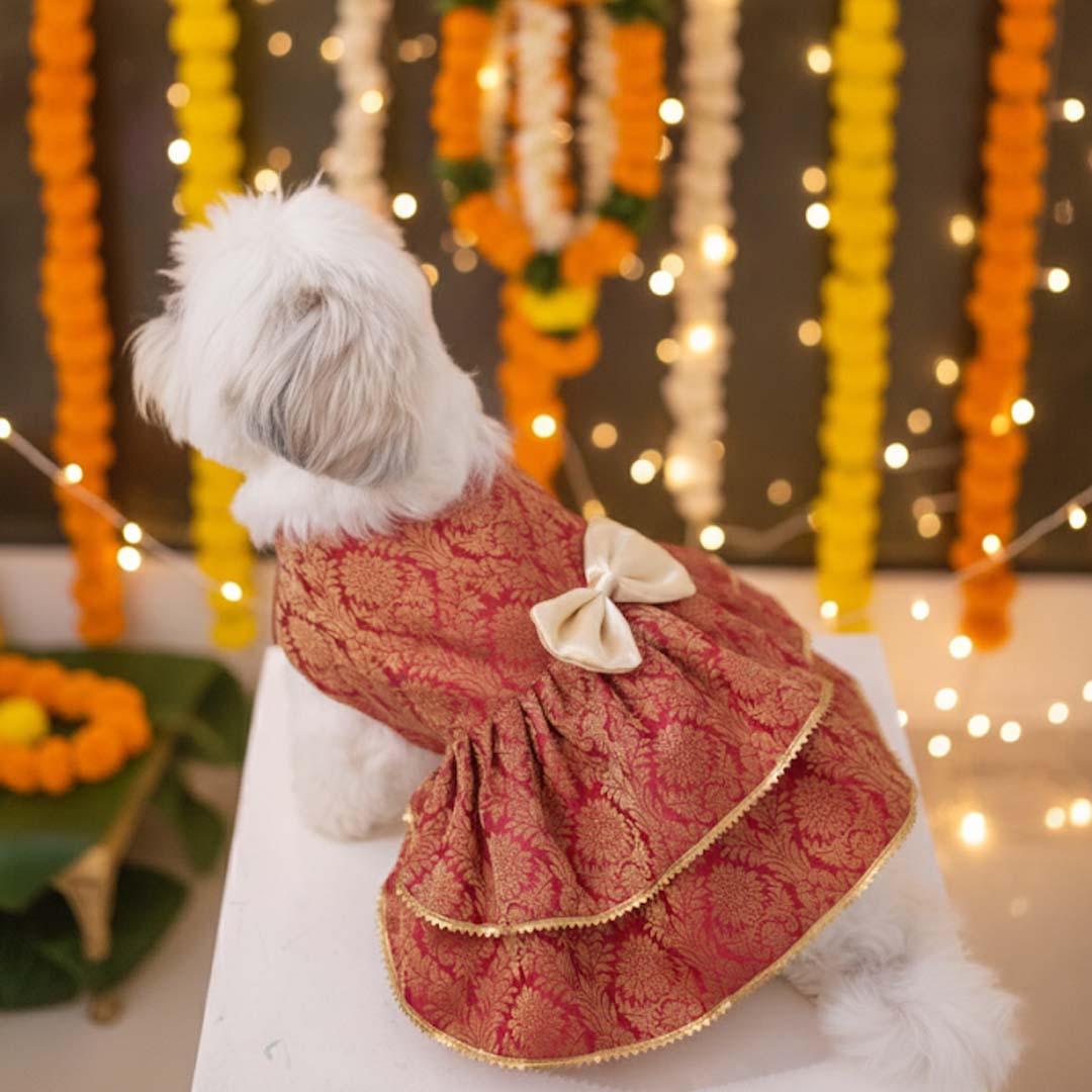 Maharani Pet Lehenga