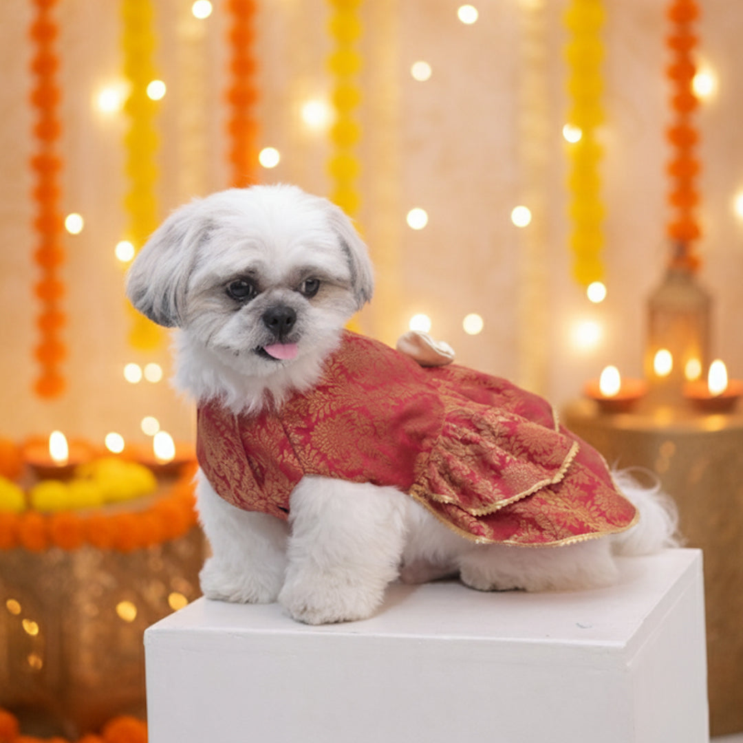 Maharani Pet Lehenga
