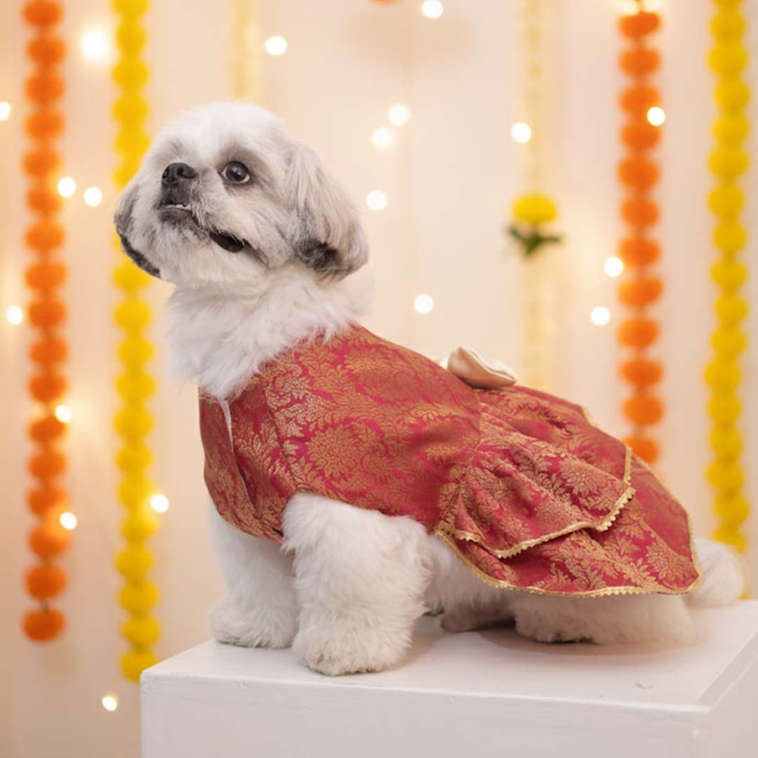 Maharani Pet Lehenga