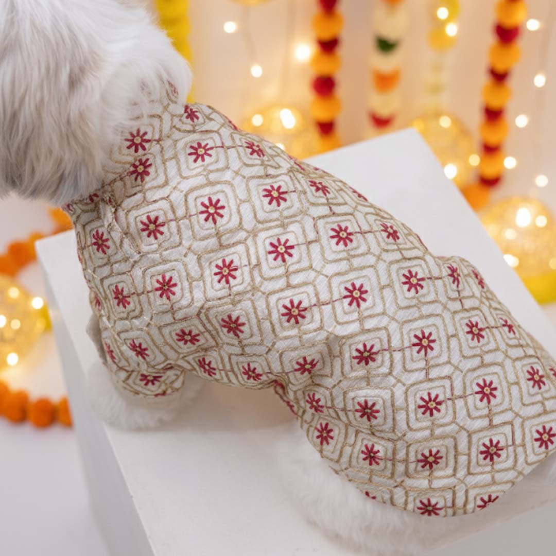 Majestic Glow Sherwani