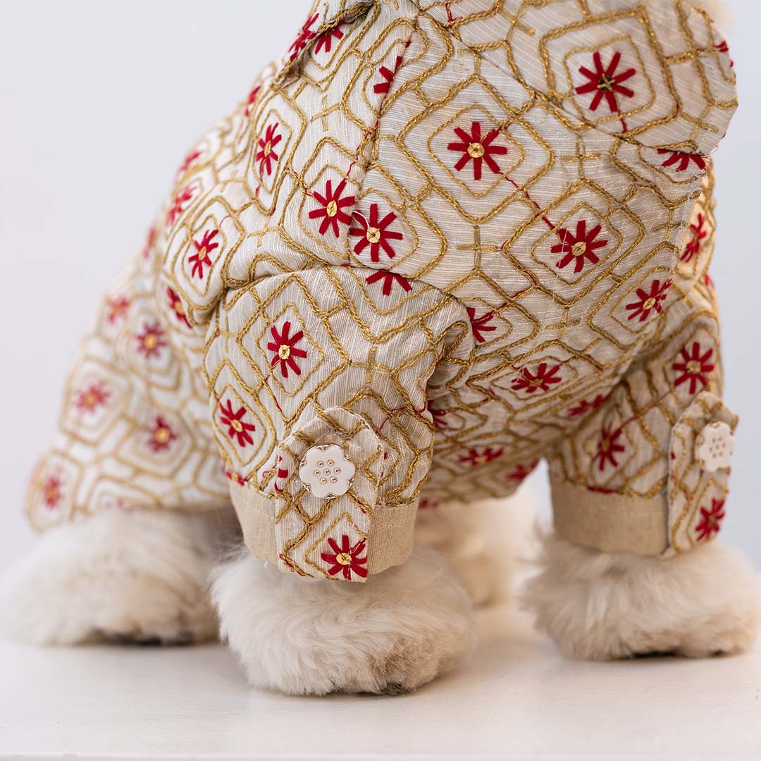 Majestic Glow Sherwani