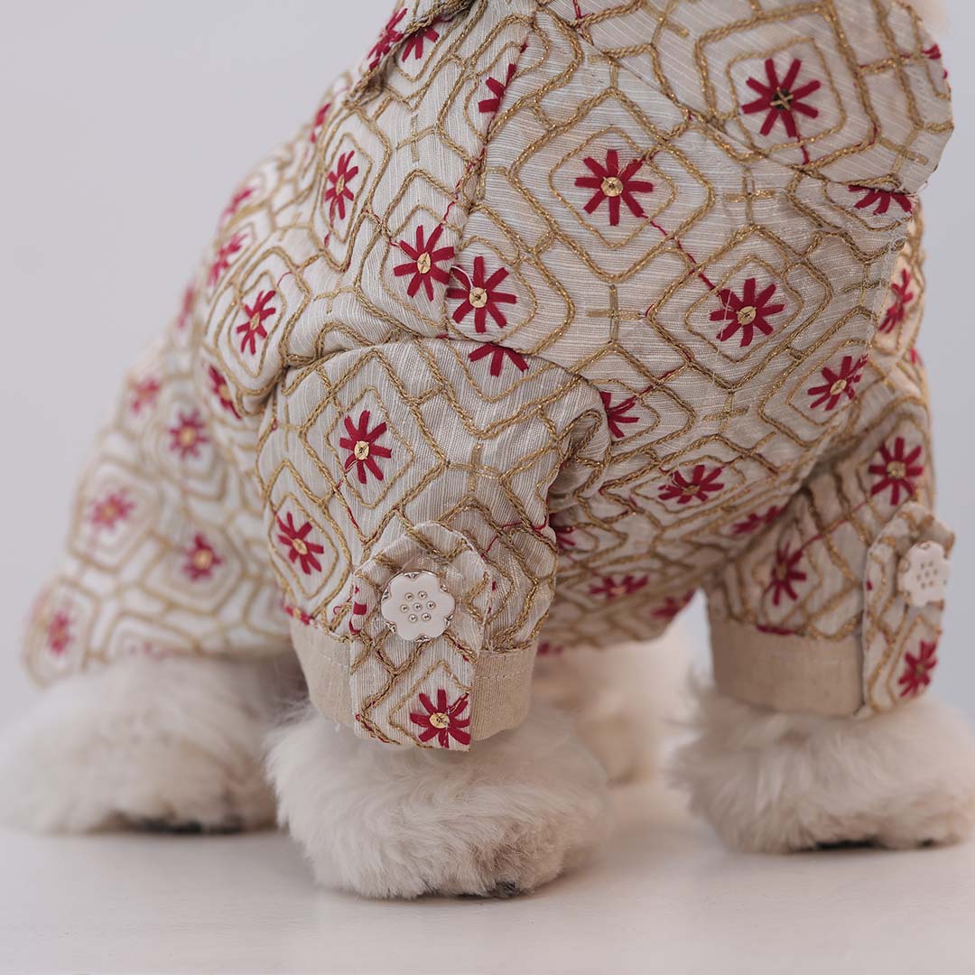 Majestic Glow Sherwani