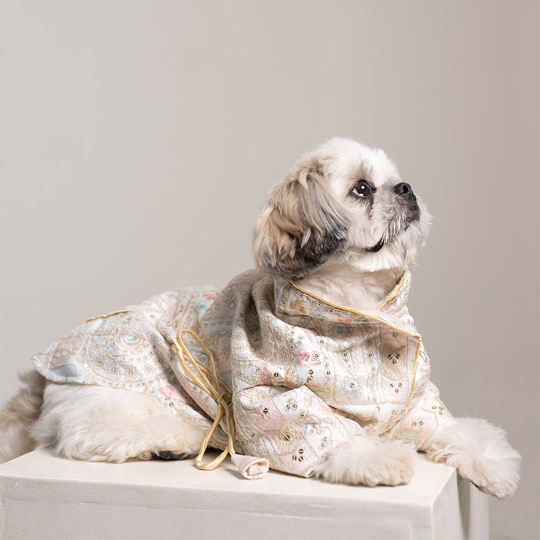 Festival Joy Designer Kurta