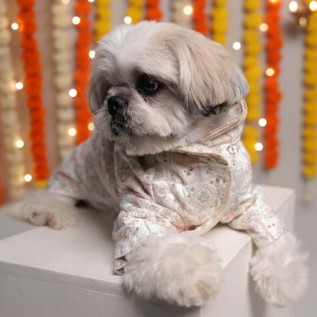 Festival Joy Designer Kurta