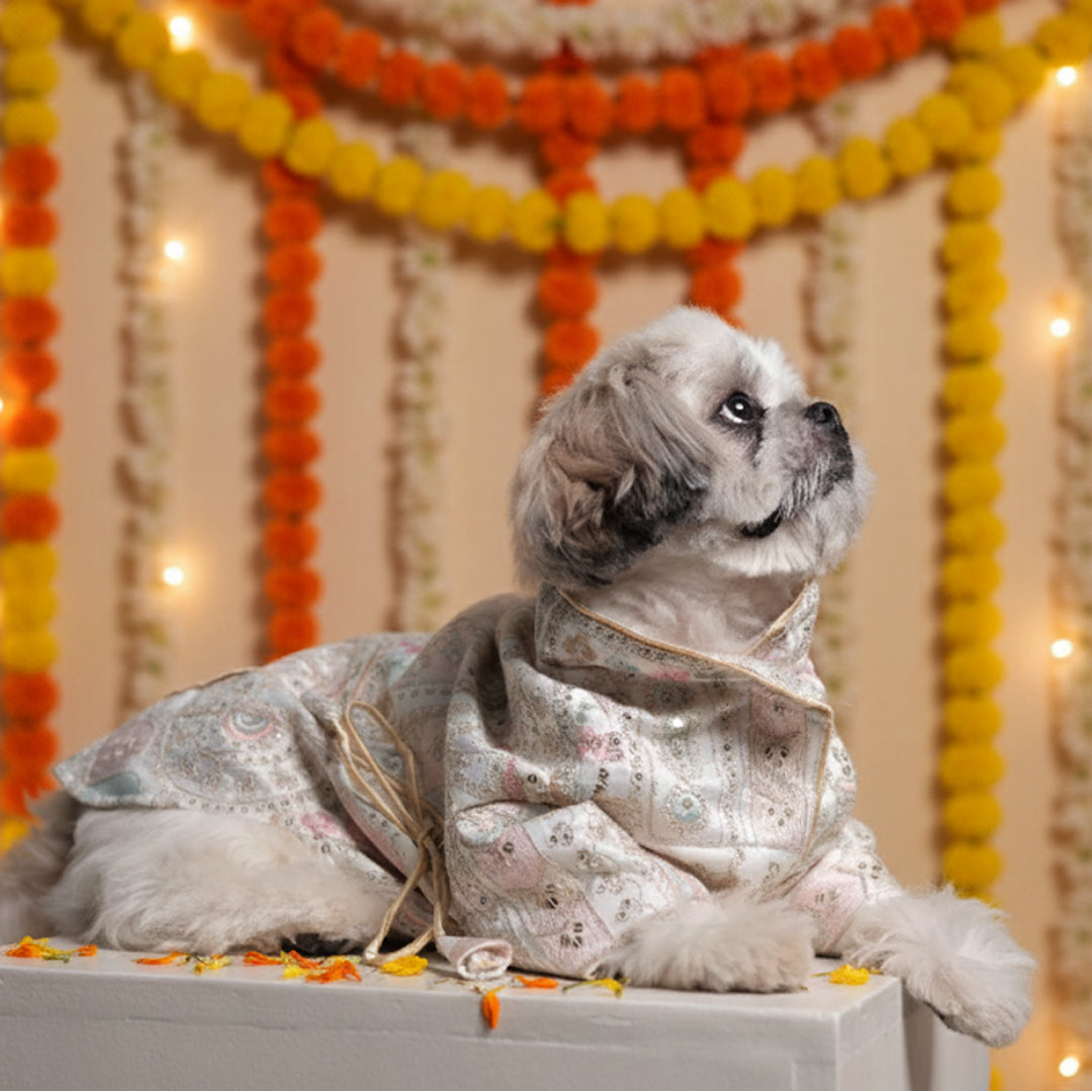 Festival Joy Designer Kurta