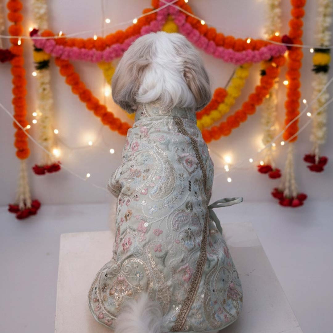 Mint Dream Designer Kurta