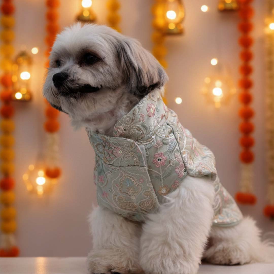 Mint Dream Designer Kurta