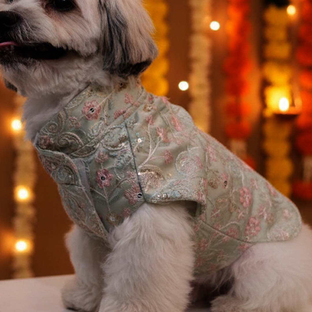 Mint Dream Designer Kurta