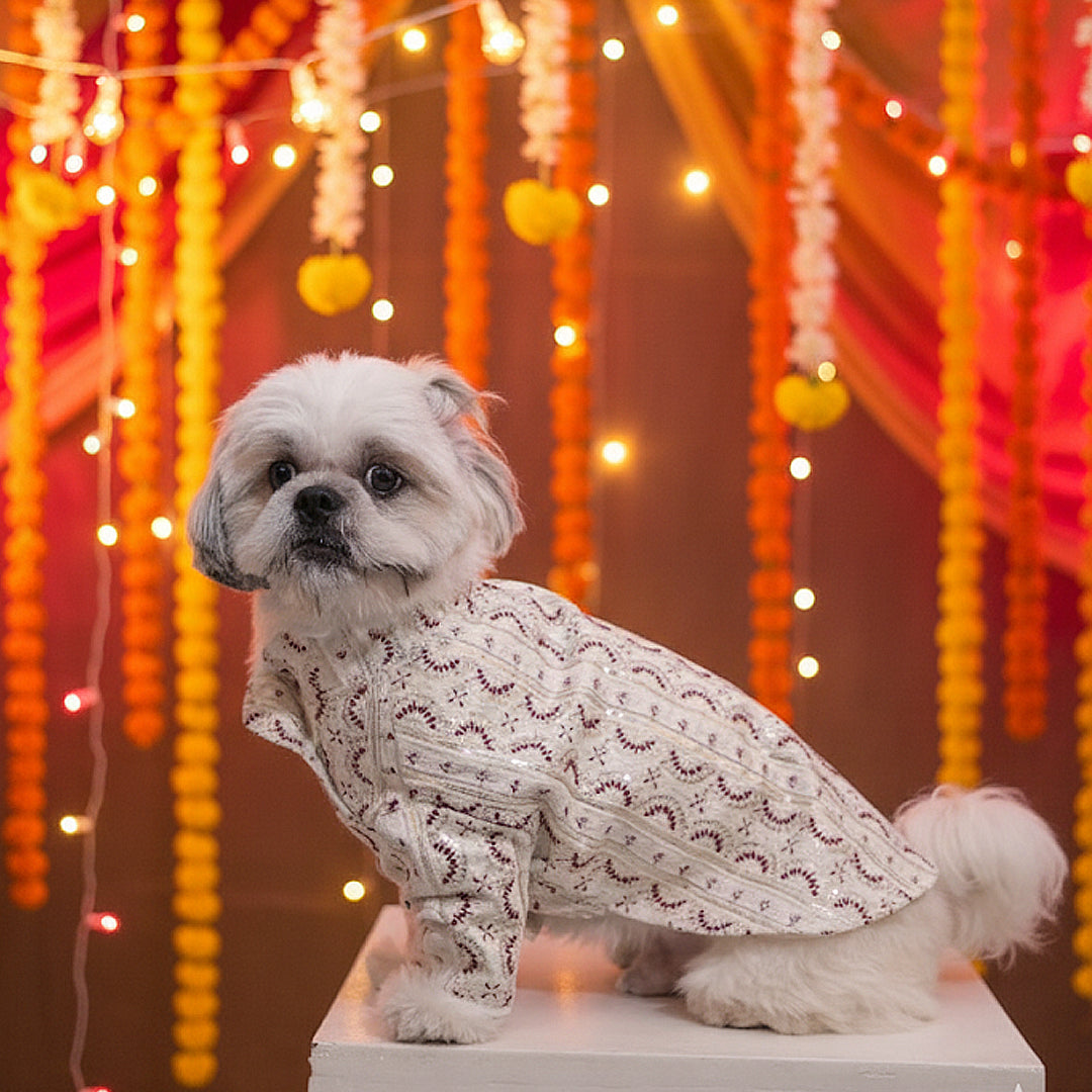 Festive Glory Kurta (white-Red)