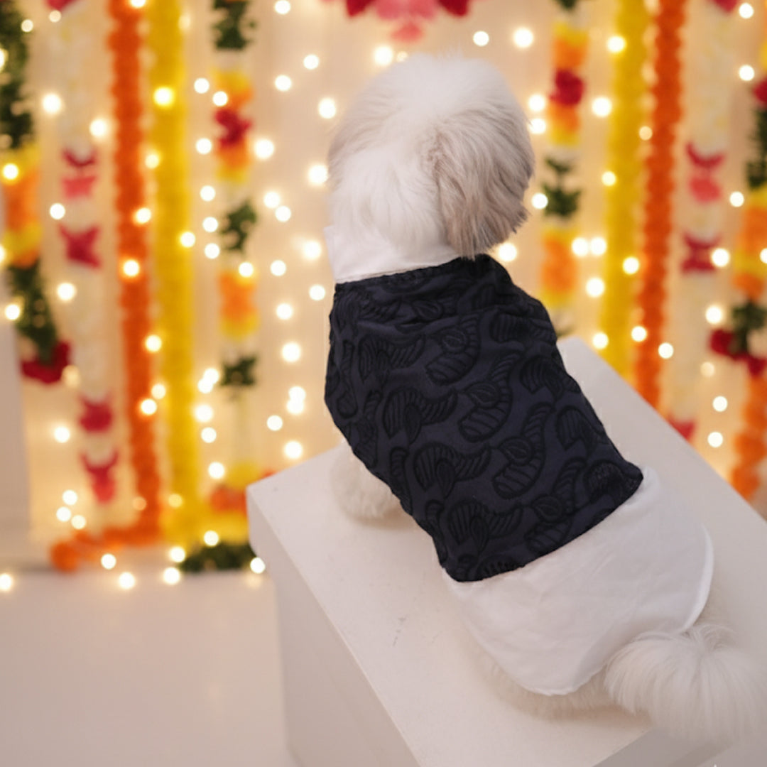 Royal Blue Modi Kurta