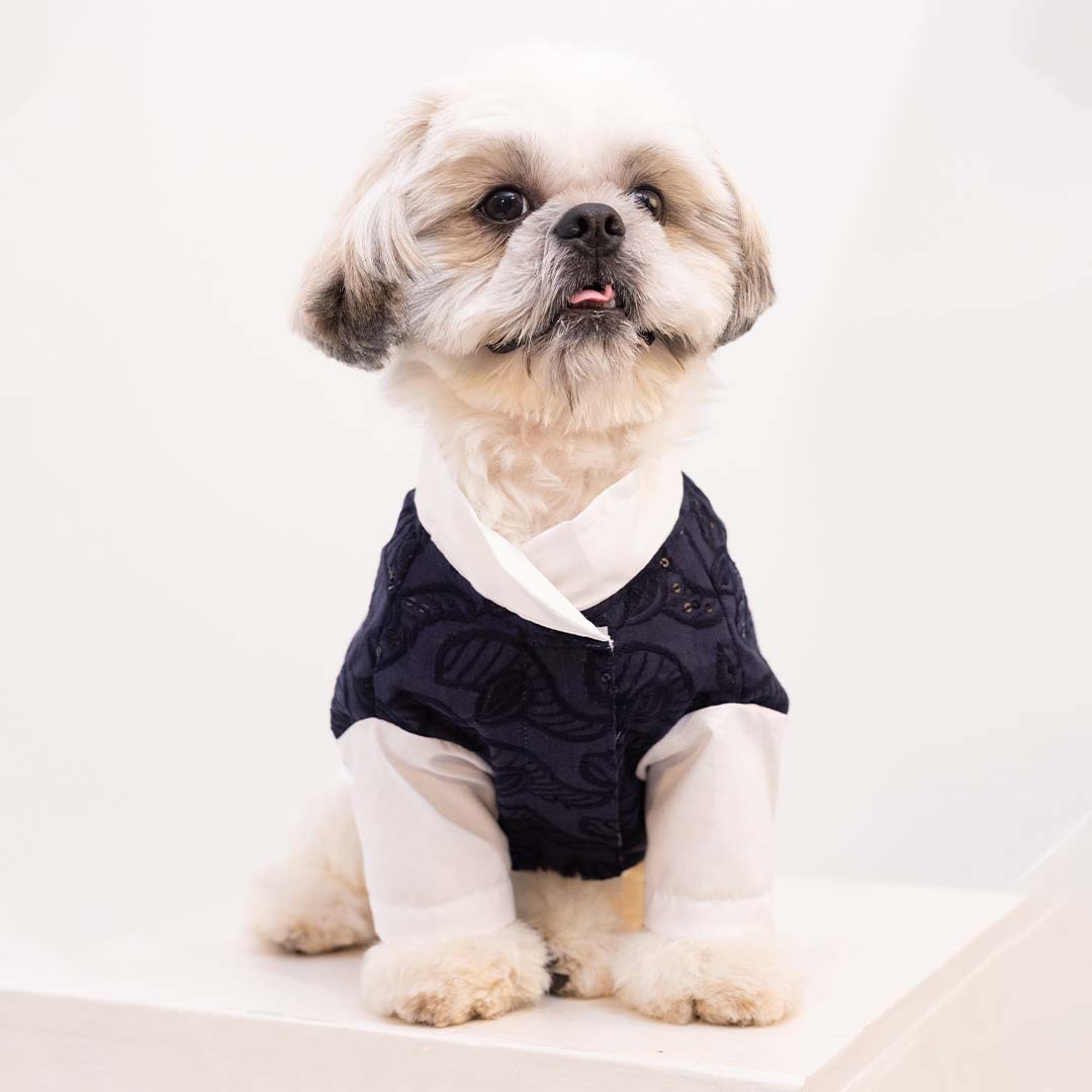 Royal Blue Modi Kurta