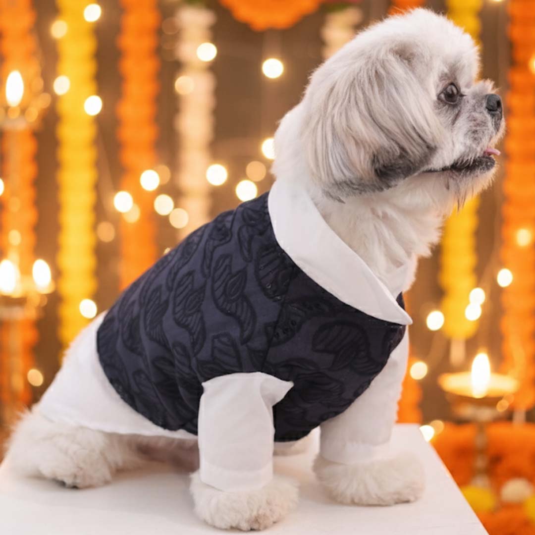 Royal Blue Modi Kurta