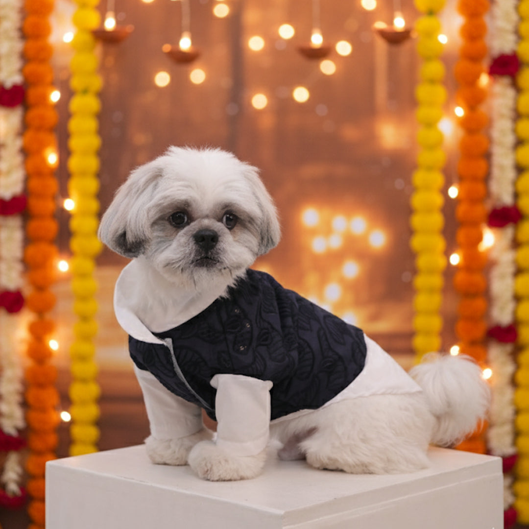 Royal Blue Modi Kurta