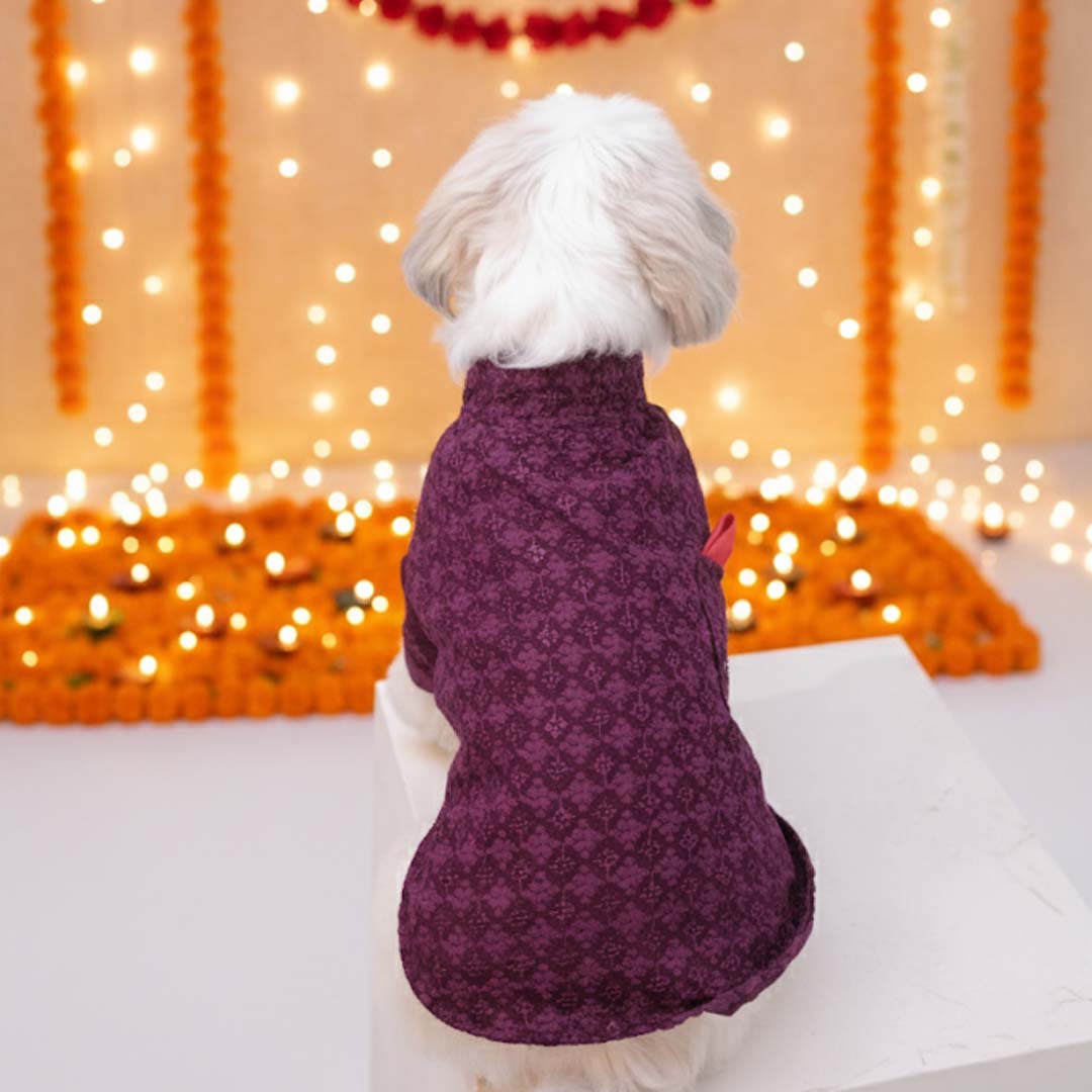 Maroon Majesty Chikankari Kurta