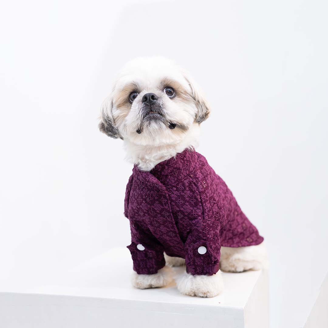 Maroon Majesty Chikankari Kurta