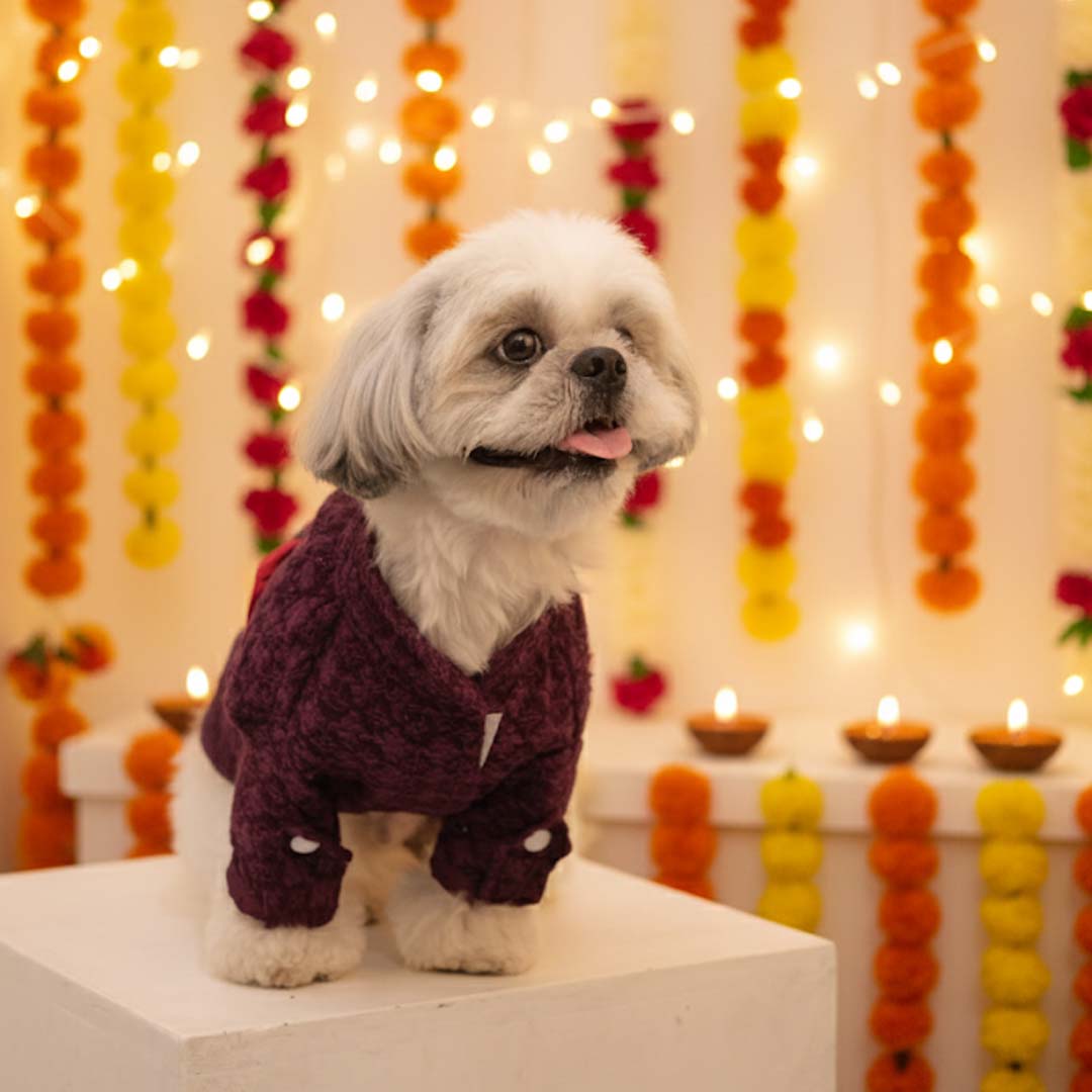 Maroon Majesty Chikankari Kurta