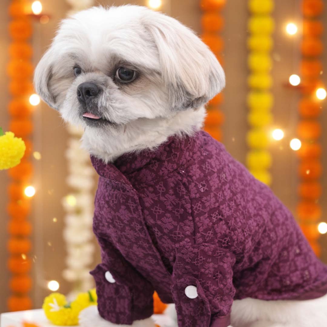 Maroon Majesty Chikankari Kurta