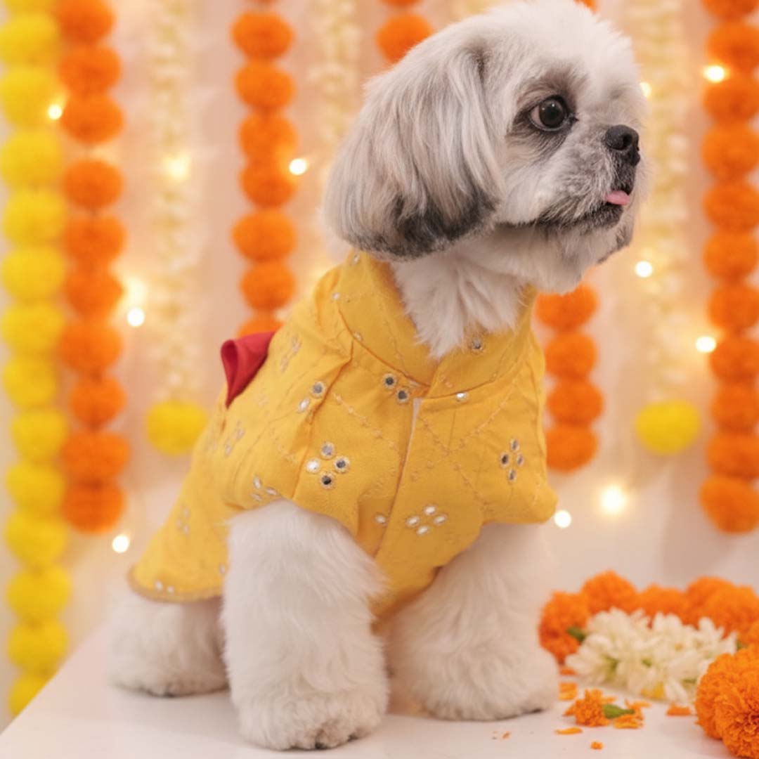 Sunshine Smiles Kurta