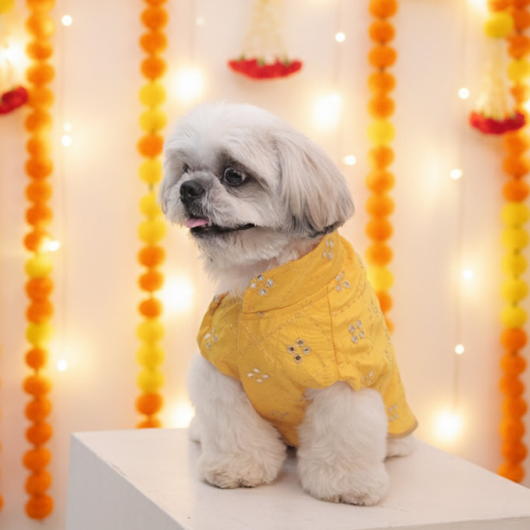 Sunshine Smiles Kurta