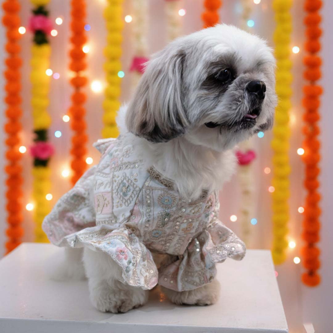 Joyful Step Designer Lehenga