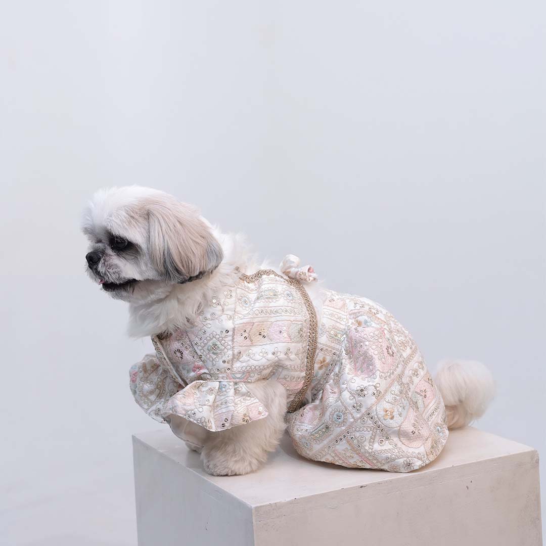 Joyful Step Designer Lehenga