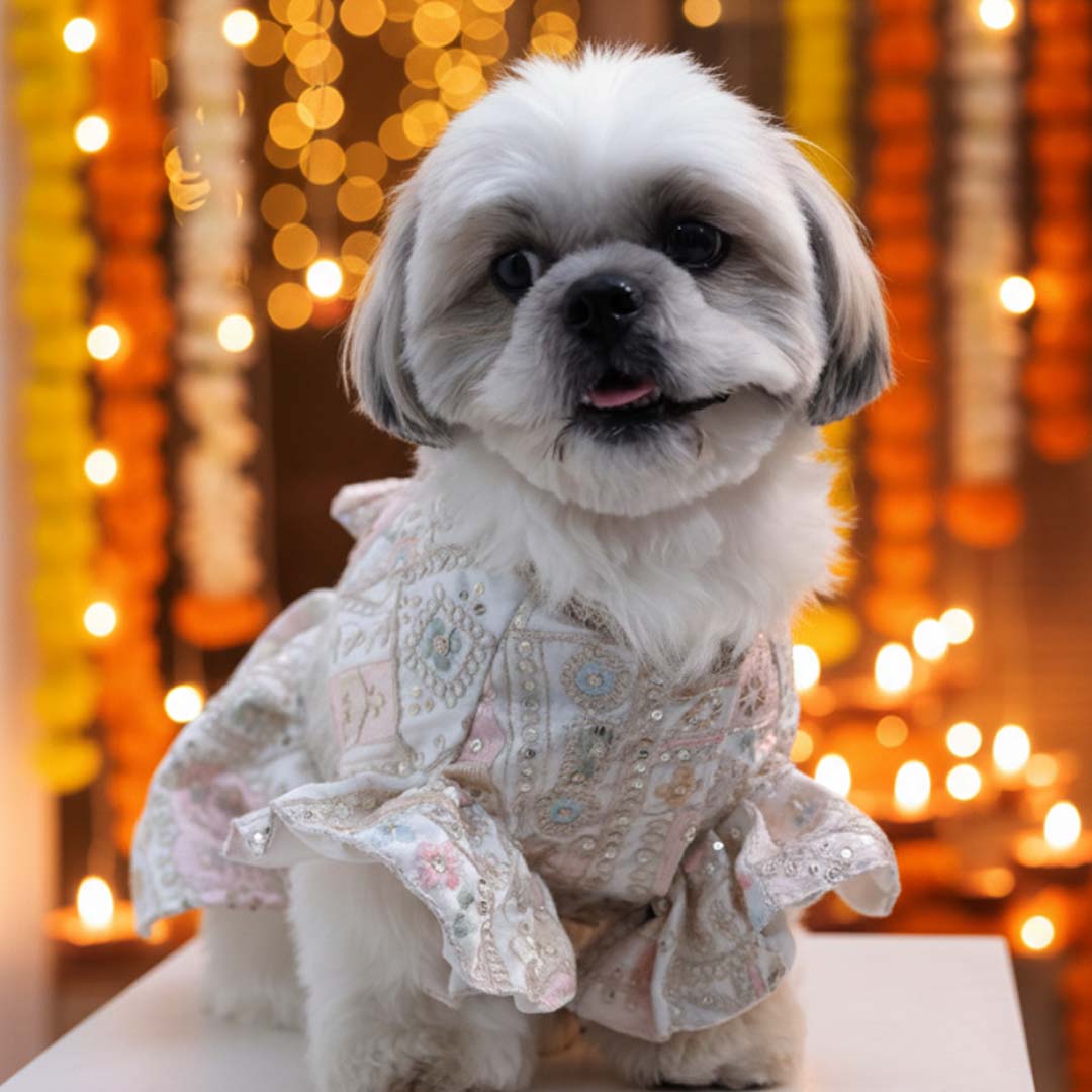 Joyful Step Designer Lehenga