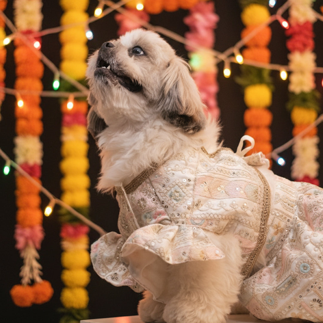 Joyful Step Designer Lehenga