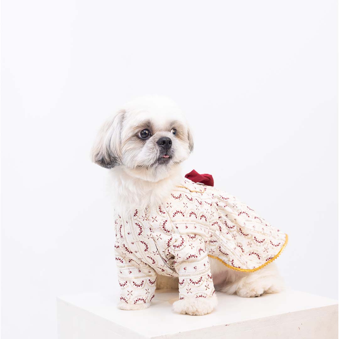 Ruby Starlight Lehenga