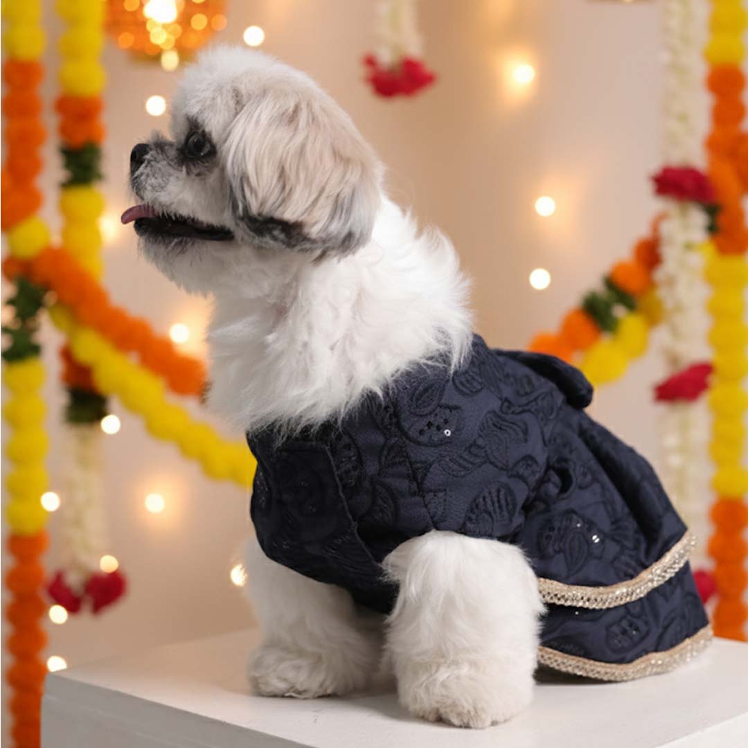 Sapphire Twirl Lehenga