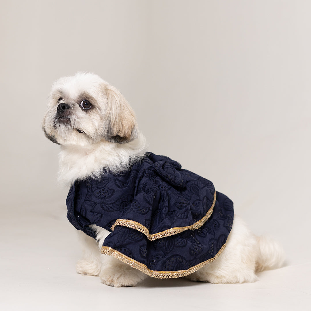 Sapphire Twirl Lehenga