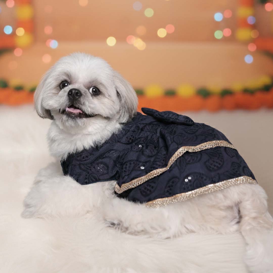 Sapphire Twirl Lehenga