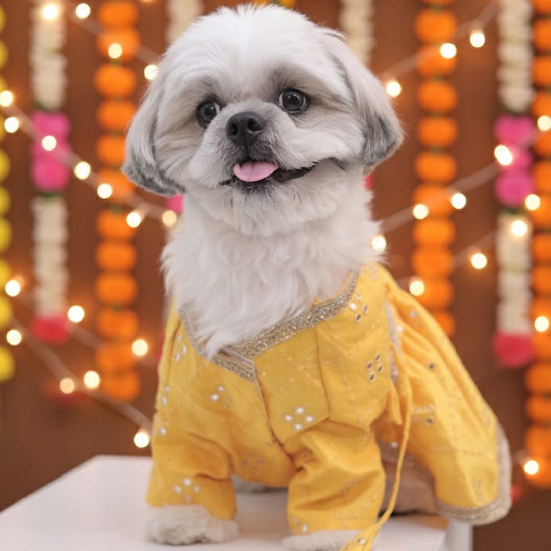 Sunshine swirl Lehenga