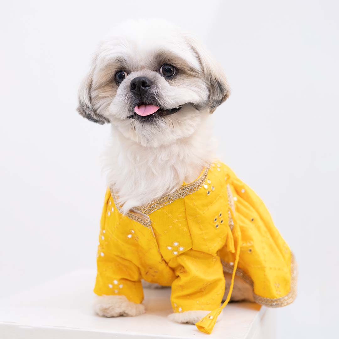 Sunshine swirl Lehenga