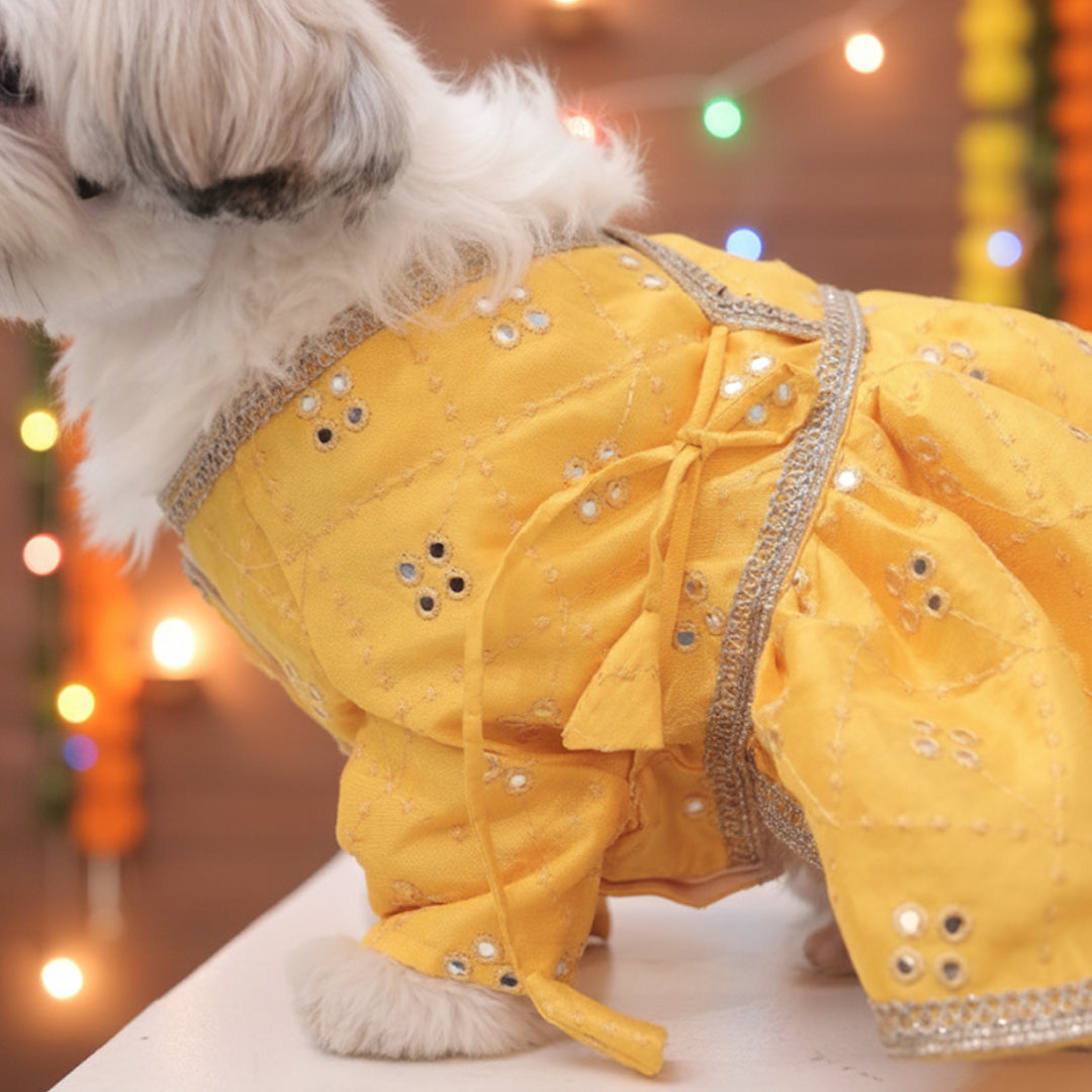 Sunshine swirl Lehenga