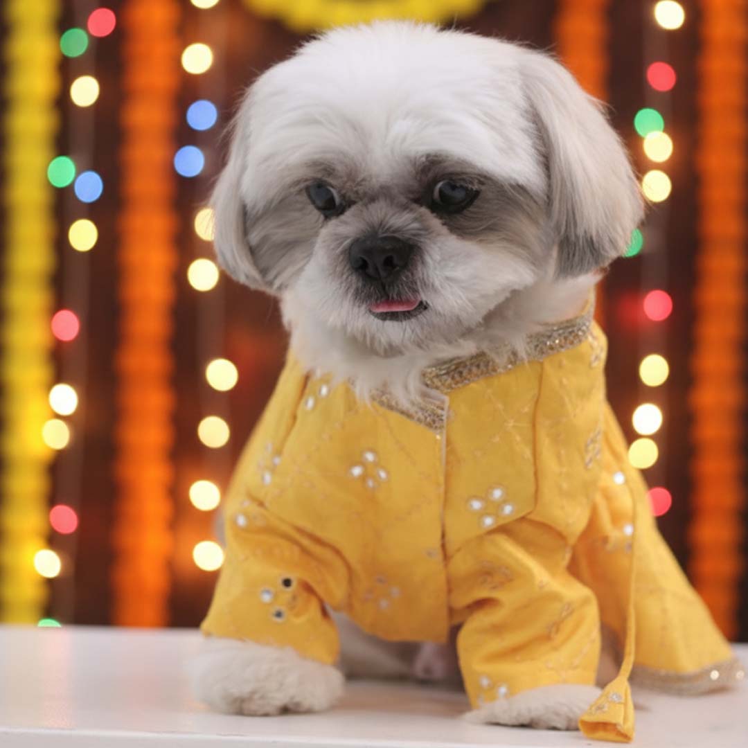 Sunshine swirl Lehenga