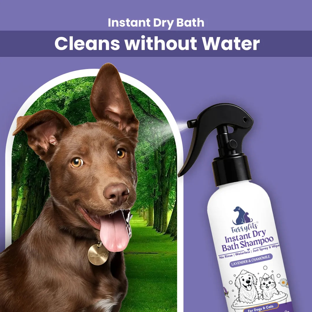 Furryfits No-Rinse Instant Dry Bath Shampoo Spray for Dogs & Cats - Lavender & Chamomile, Waterless 200 ml