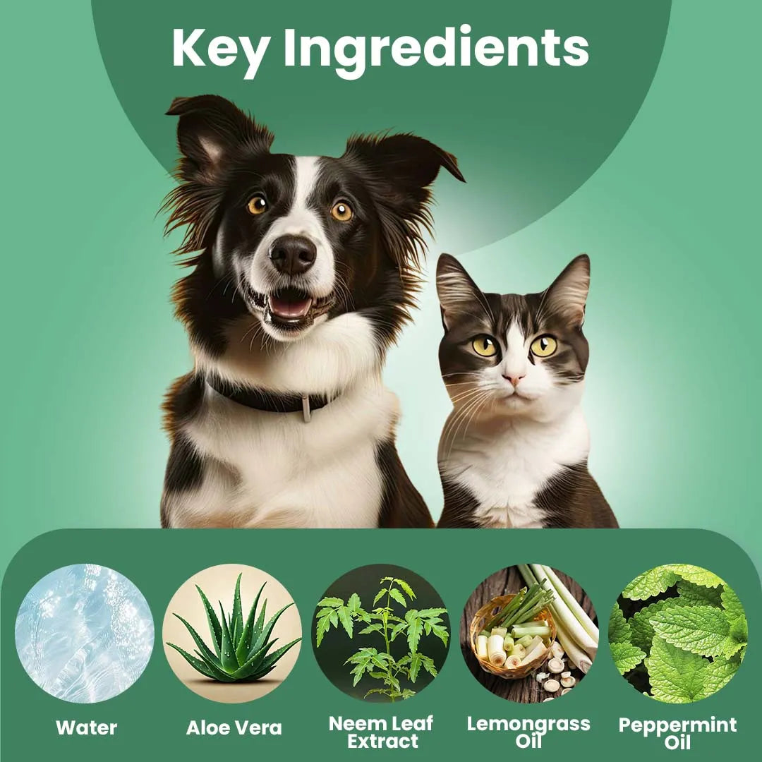 Furryfits No-Rinse Instant Dry Bath Shampoo Spray for Dogs & Cats - Neem & Aloe Vera, Waterless 200 ml