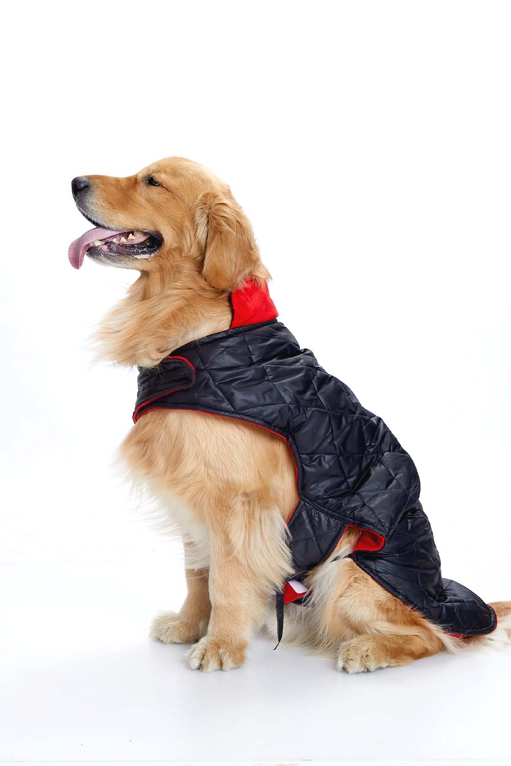 Furryfits Black Quilted with Red Velvet Dog Jacket – Stylish Pet Outerwear