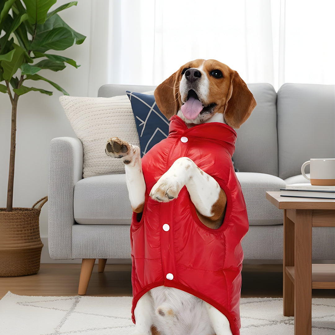 Furryfits Cherry Woof Dog Jacket – Stylish & Cozy Pet Outerwear