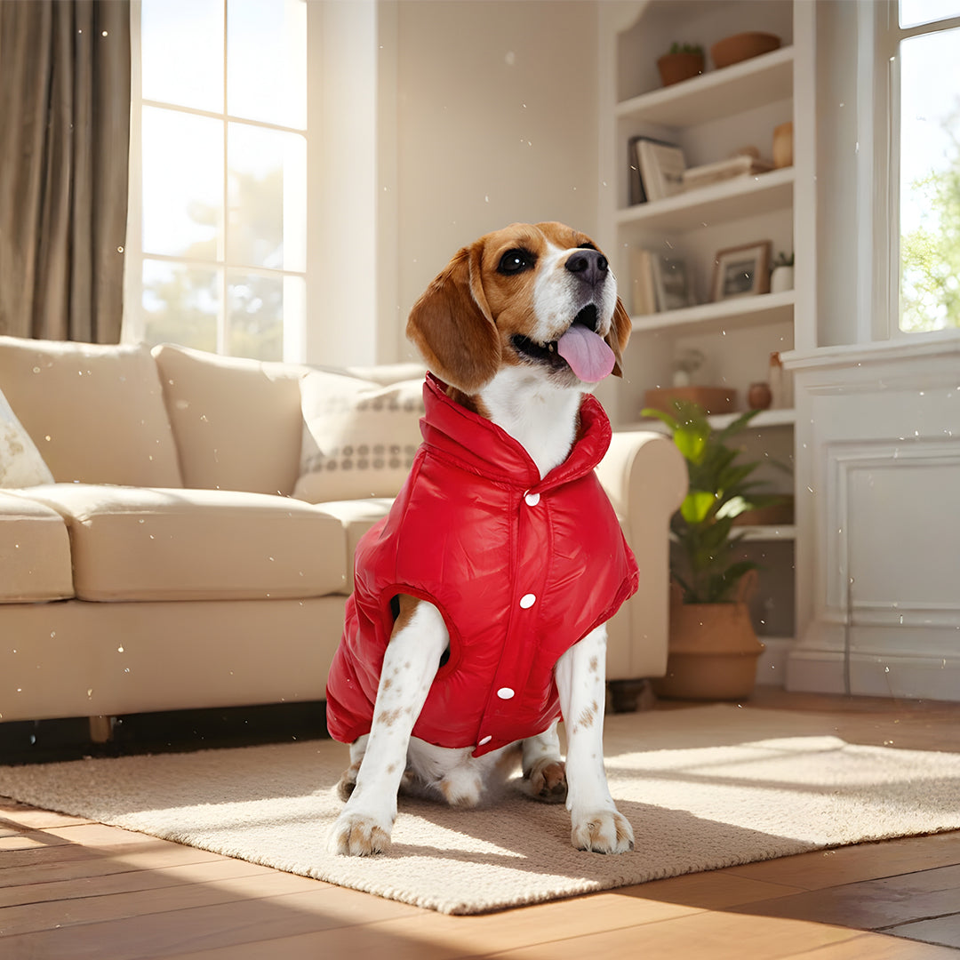 Furryfits Cherry Woof Dog Jacket – Stylish & Cozy Pet Outerwear