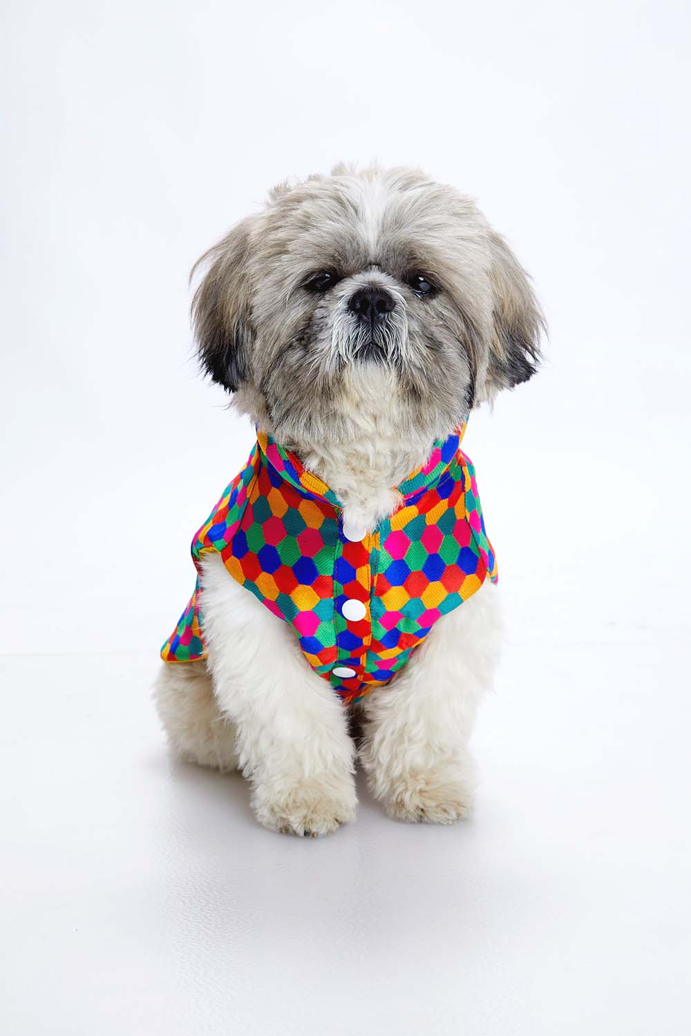 Furryfits Polka Dots Kurta – Stylish & Comfortable Dog Traditional Wear