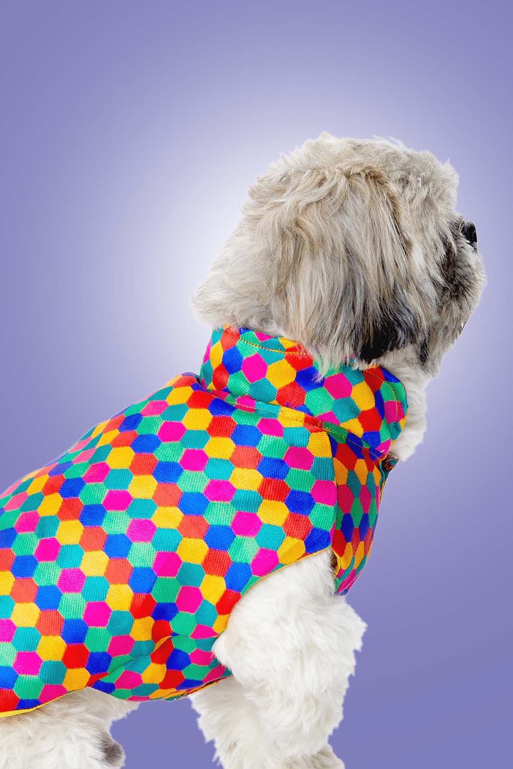 Furryfits Polka Dots Kurta – Stylish & Comfortable Dog Traditional Wear