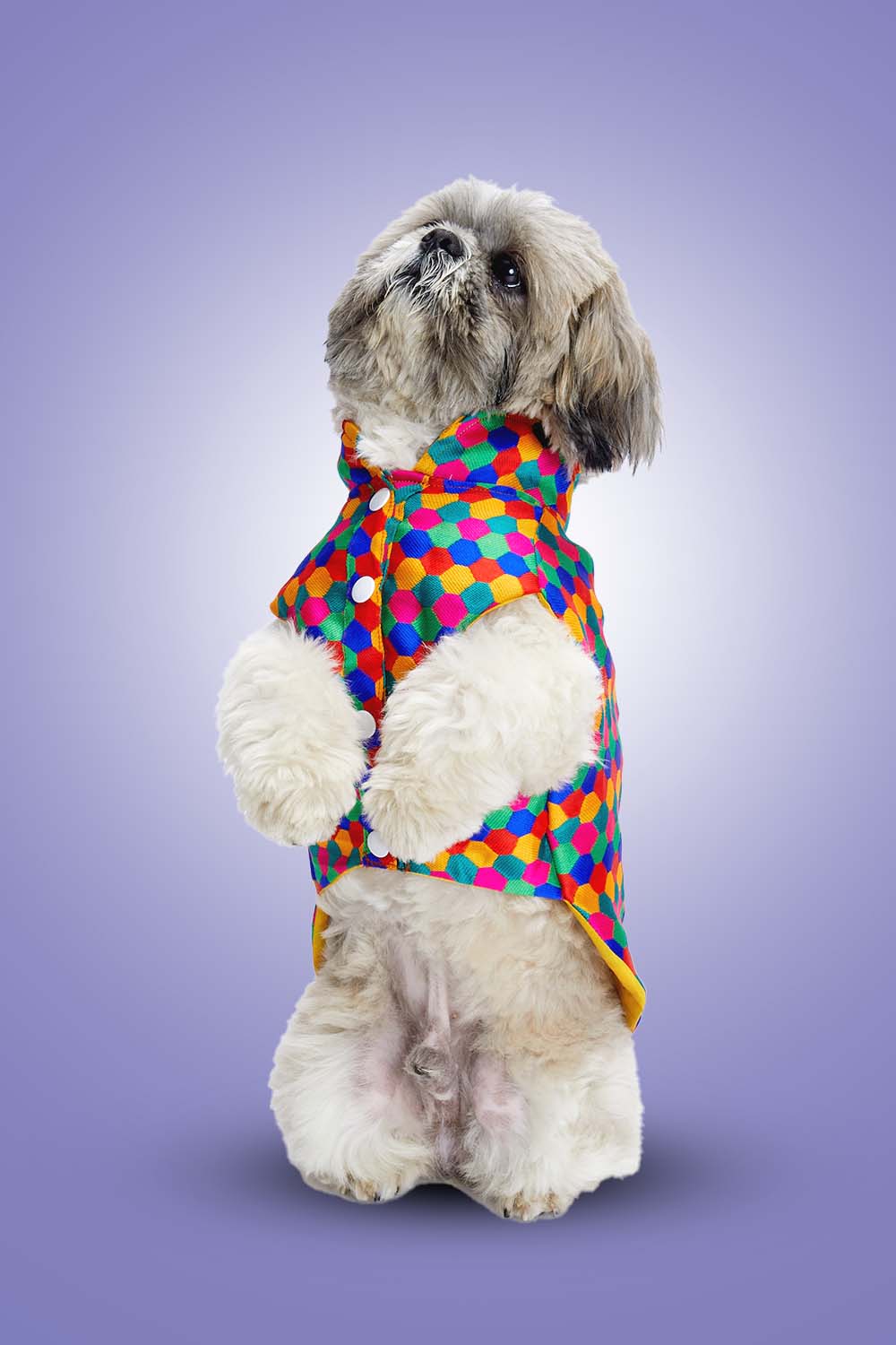 Furryfits Polka Dots Kurta – Stylish & Comfortable Dog Traditional Wear