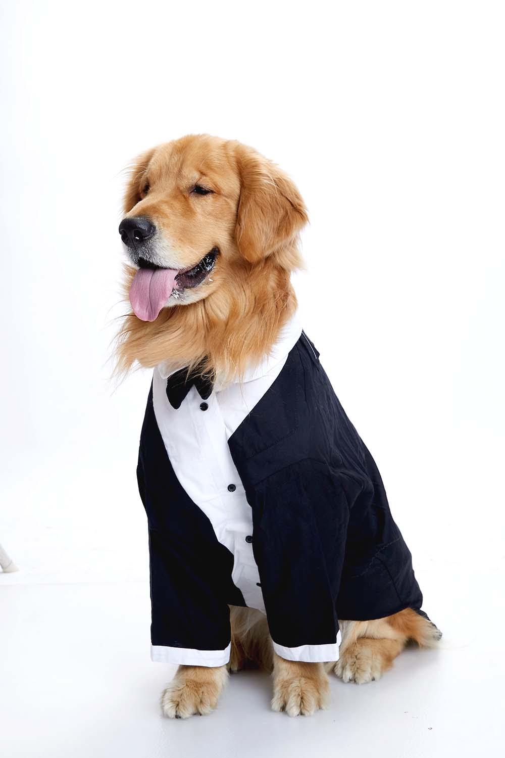 Furryfits Midnight Gala Tux Dog Clothes – Elegant & Sophisticated Formal Wear