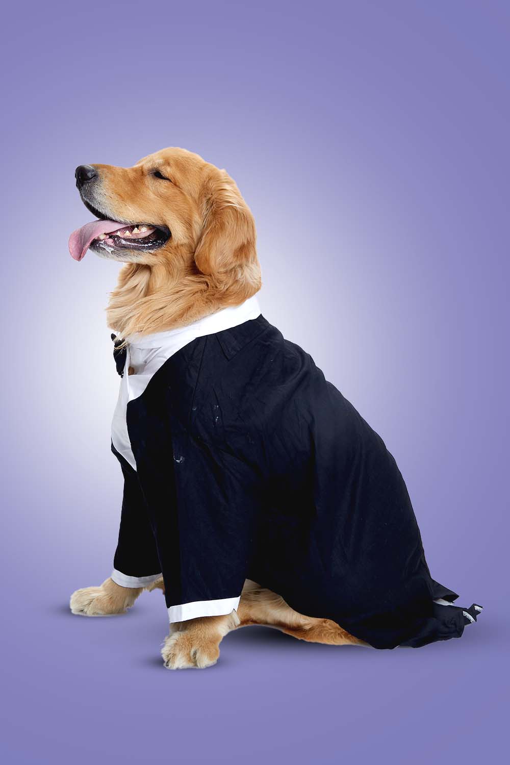 Furryfits Midnight Gala Tux Dog Clothes – Elegant & Sophisticated Formal Wear