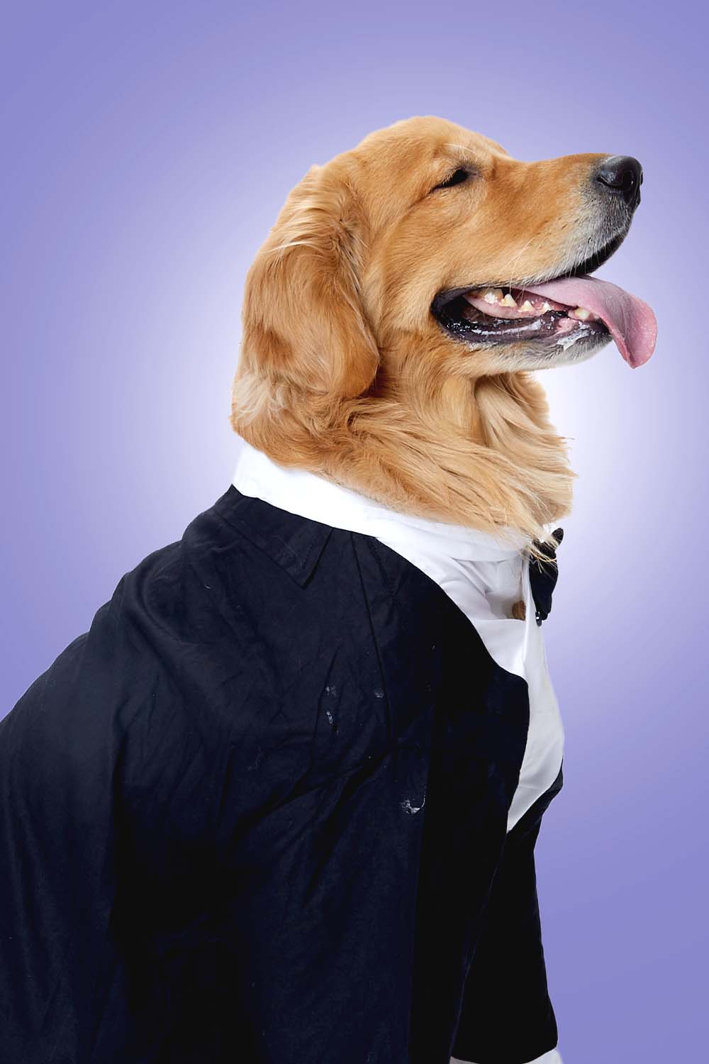 Furryfits Midnight Gala Tux Dog Clothes – Elegant & Sophisticated Formal Wear