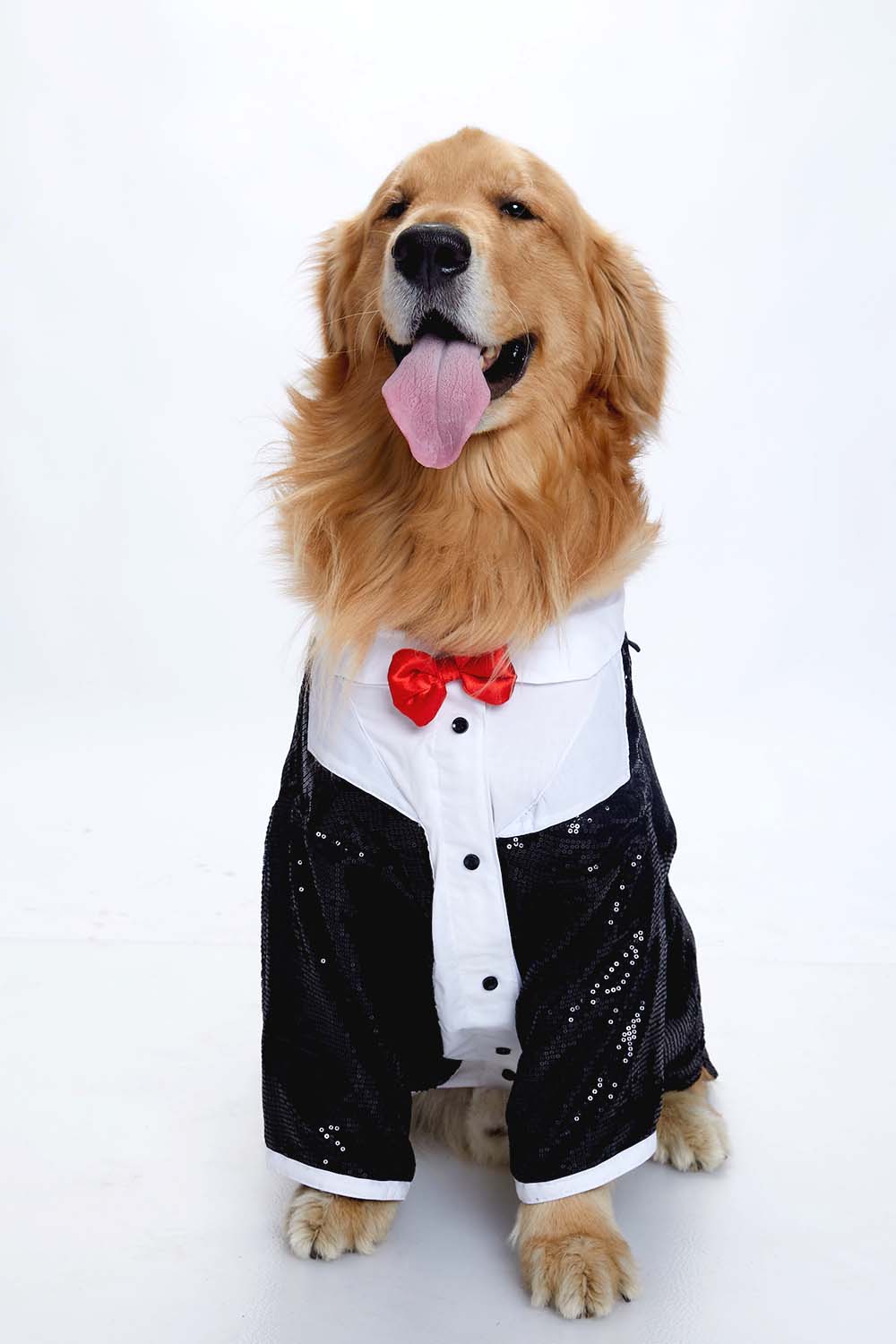 Furryfits Sparkle Party Tux Dog Clothes – Stylish & Elegant Party Wear