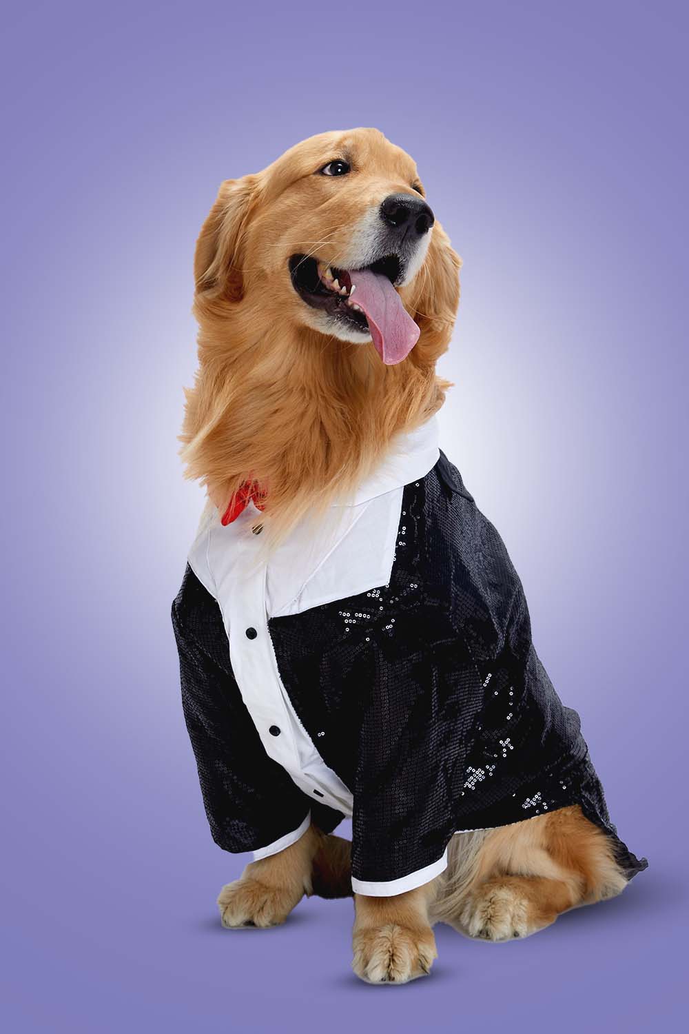 Furryfits Sparkle Party Tux Dog Clothes – Stylish & Elegant Party Wear