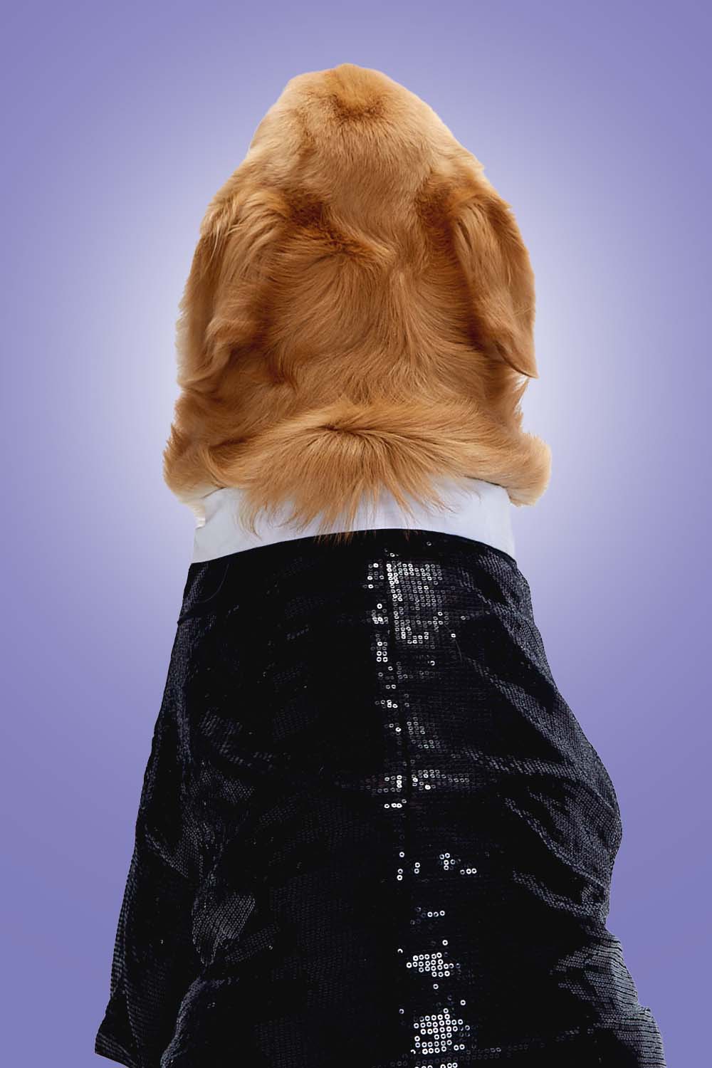 Furryfits Sparkle Party Tux Dog Clothes – Stylish & Elegant Party Wear