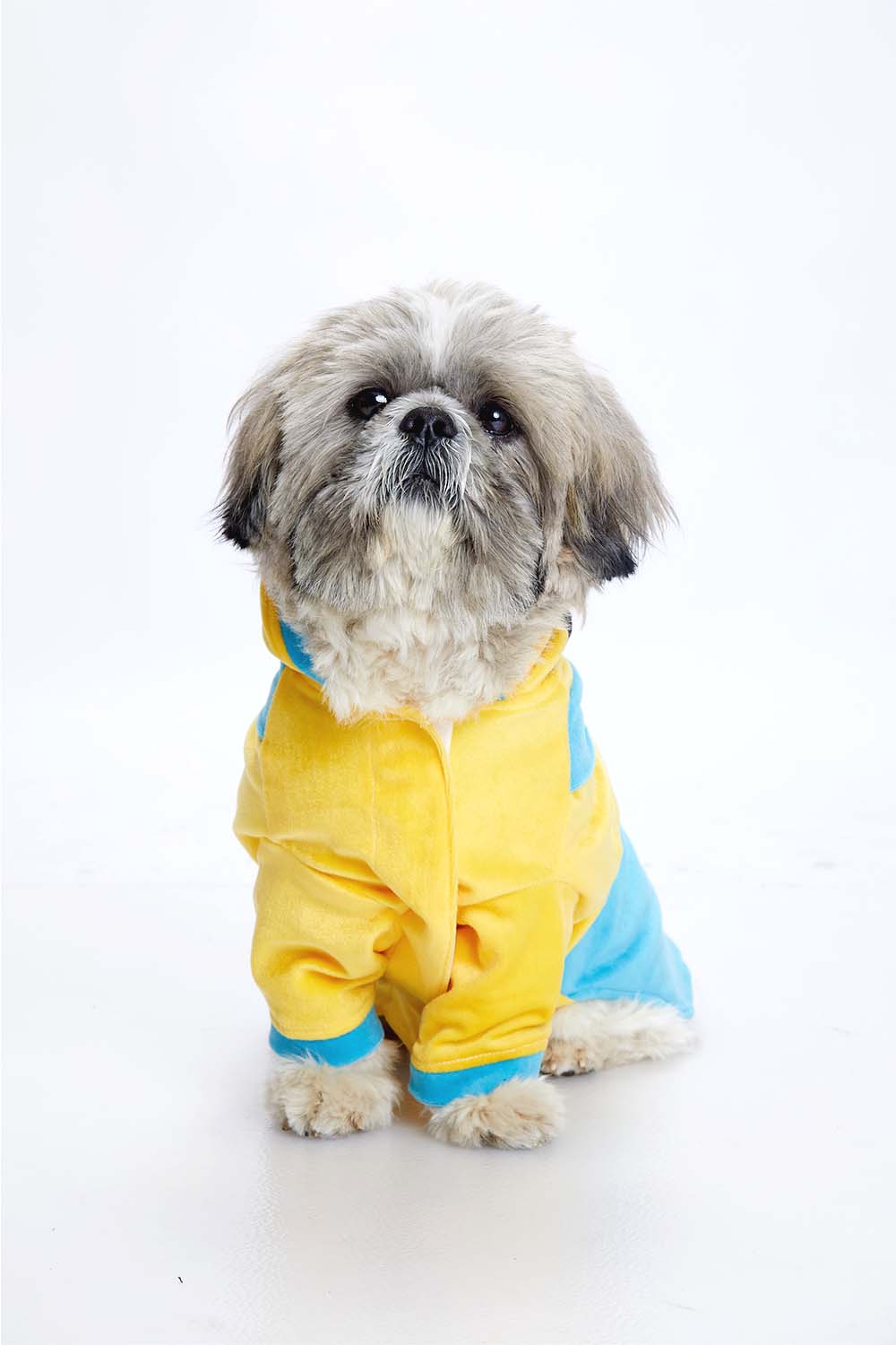 Furryfits Minion Mischief  Dog Clothes Hoodie – Fun, Comfortable & Stylish Wear